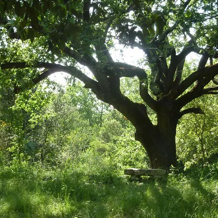 Casa de Férias Mas En Pleine Nature